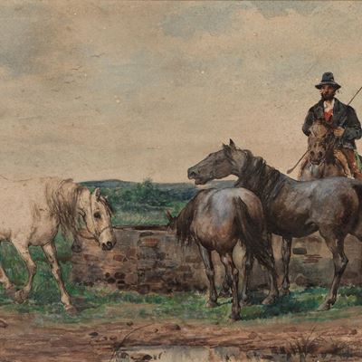 Cavalli nella Campagna Romana