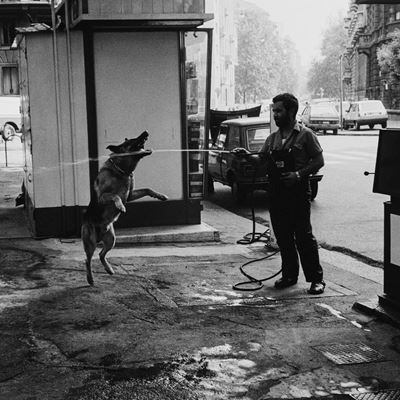 Silly dog – Stampa vintage alla gelatina ai sali d'argento