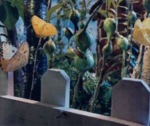 Crewdson Gregory - Untitled, from the series 