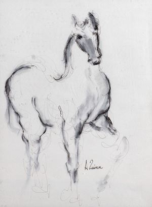 Quinn Anthony - Horse