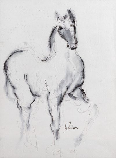 Cavallo