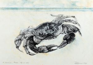 Vespignani Renzo - Crab