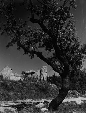 Le Baux de Provence