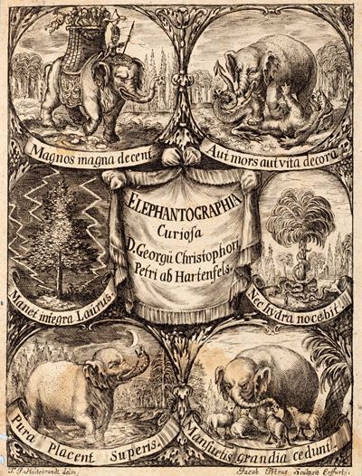 Elephantographia curiosa seu Elephanti Descriptio, 1750