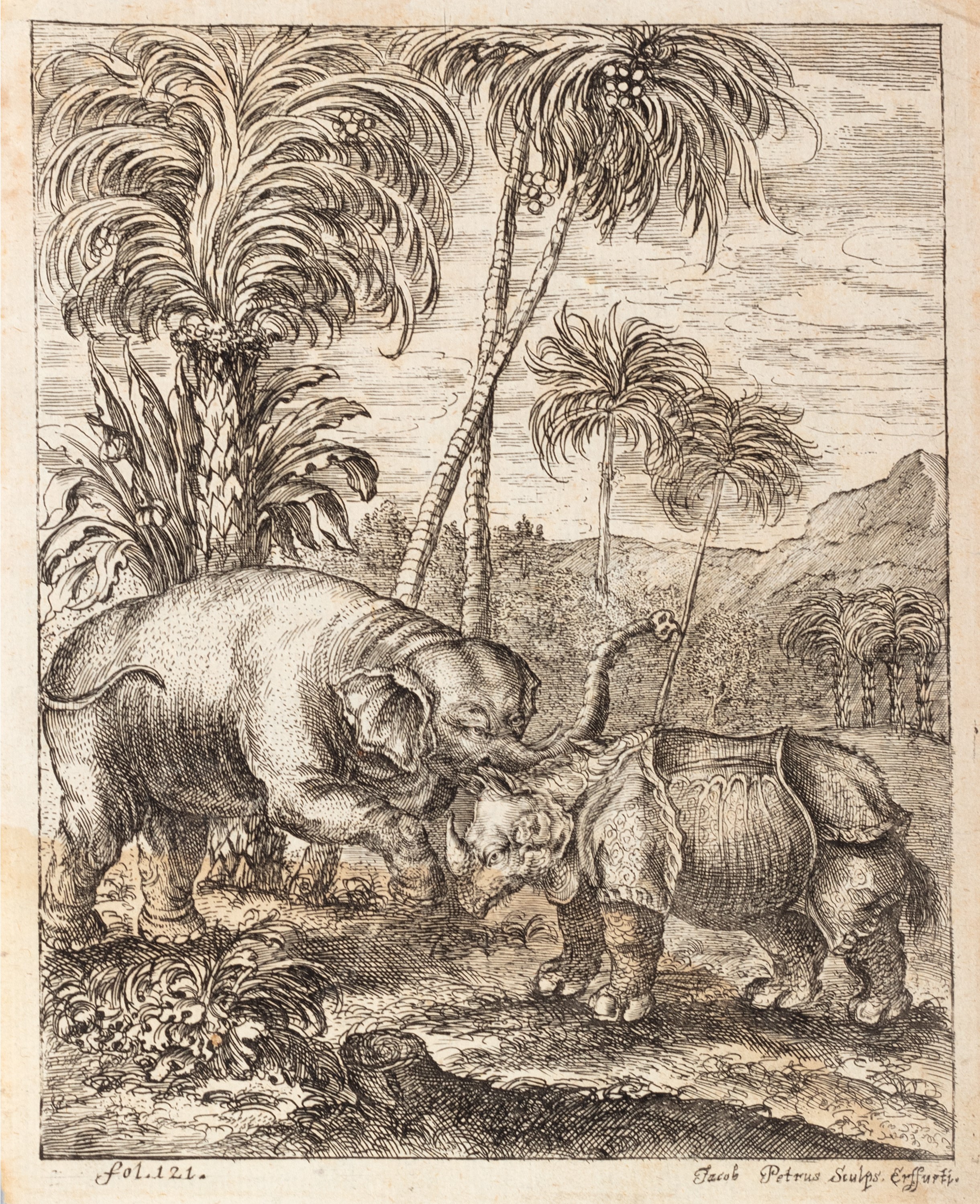 Goetchebuer Petrus Jacobus - Elephantographia curiosa seu Elephanti Descriptio, 1750