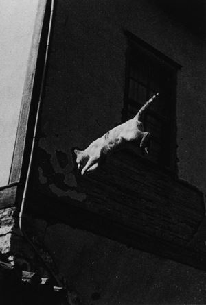 Mario Soldati, La mamma dei gatti / Il gatto che salta, 1984