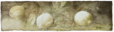 Natura Morta (limoni)