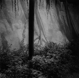 Arcidiacono Cayetano - Untitled