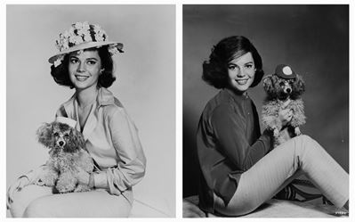 Fotografia, Natalie Wood, due stampe vintage alla gelatina ai sali d'argento, anni 1960