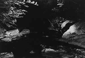 Bavcar Evgen - Lo sguardo dell'acqua