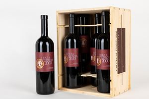Caccia al Piano 1868 Levia Gravia Bolgheri Superiore Rosso