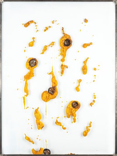 Pariah (lemons), tecnica mista su supporto con ferro, vetro, zucchero e limoni