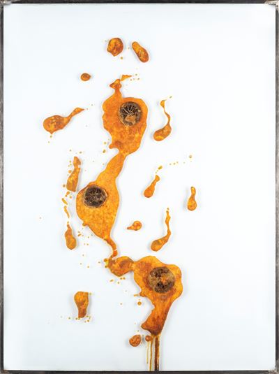 Pariah (oranges), tecnica mista su ferro e vetro con elementi naturali, 1997