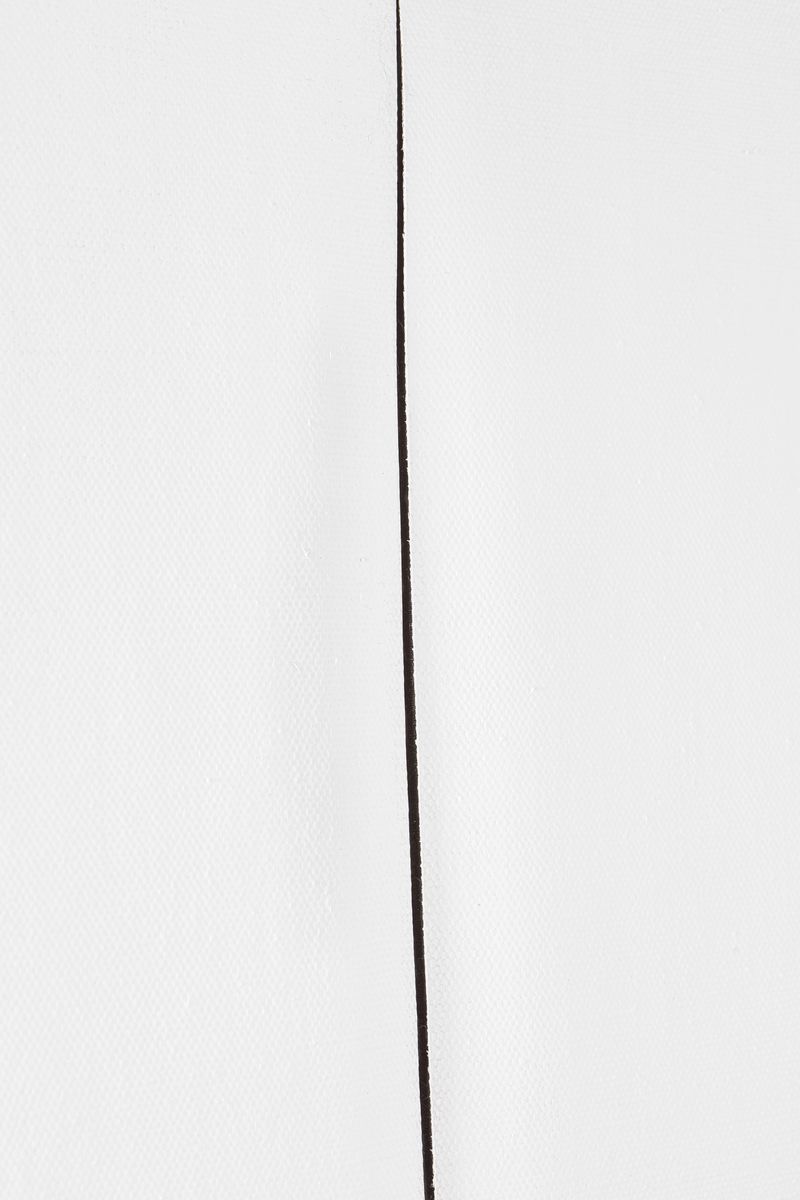 Lucio Fontana - Concetto spaziale, Attesa, idropittura su tela