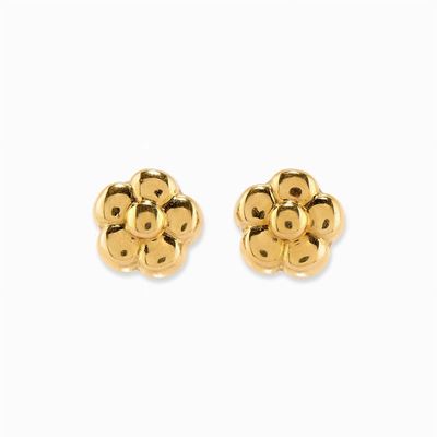 Orecchini in Oro 18k