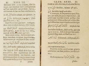 Pietro Metoscita - Institutiones linguae arabicae ex diversis arabum monumentis collectae.