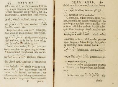 Institutiones Linguae Arabicae Ex Diversis Arabum Monumentis Collectae.