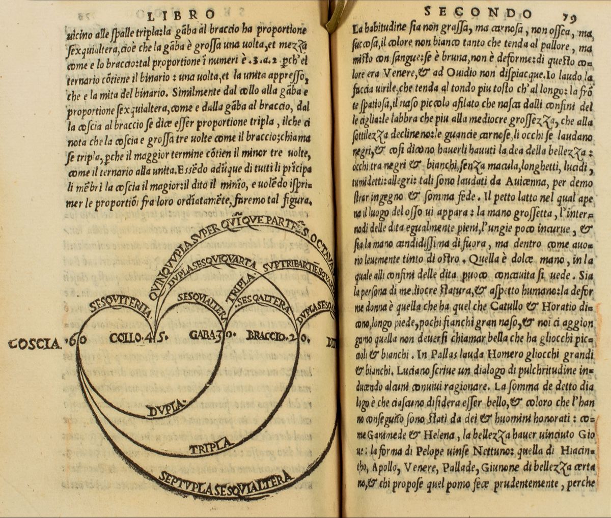 Mario Equicola - Libro di Natura D'amore ... Nuovamente Stampato, Et con Somma Diligentia Corrett...