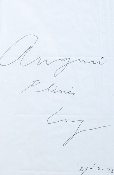 Auguri Plinio - china su carta