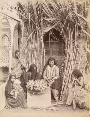V&eacute;ndeuses de cannes &agrave; sucre au Caire