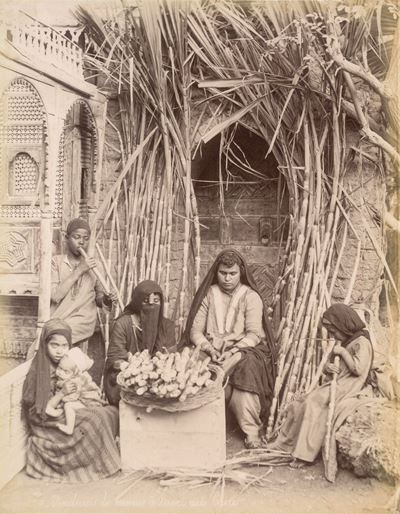Véndeuses De Cannes À Sucre Au Caire