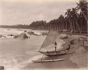Singhalese fishing boat, Colombo, Ceylon