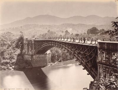 Satin Wood Bridge Peradeniya