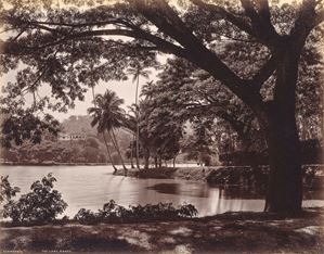 The lake, Kandy