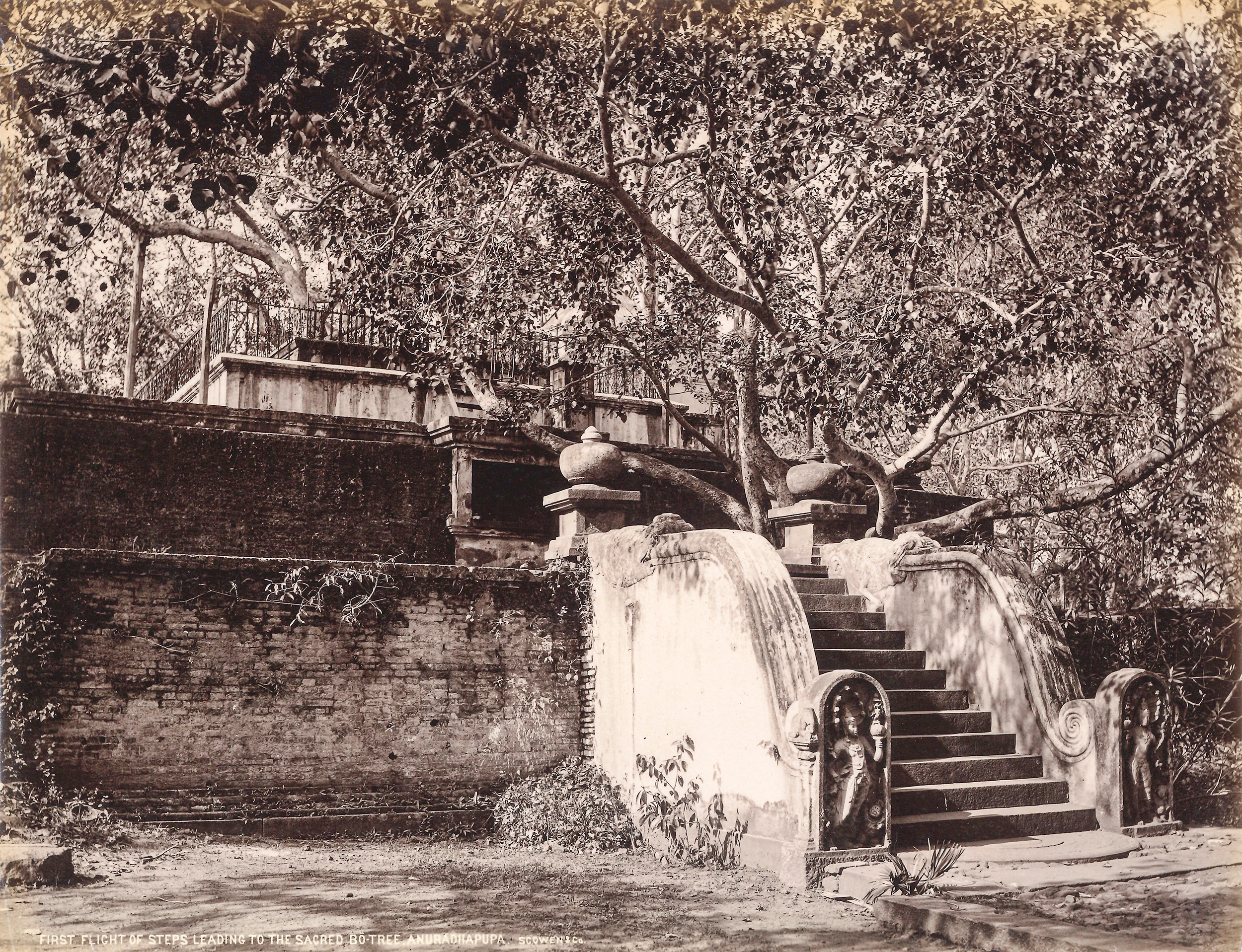 Charles Thomas Scowen - Anuradhapura, Isurumumiya And Ruwanweli Dagoba