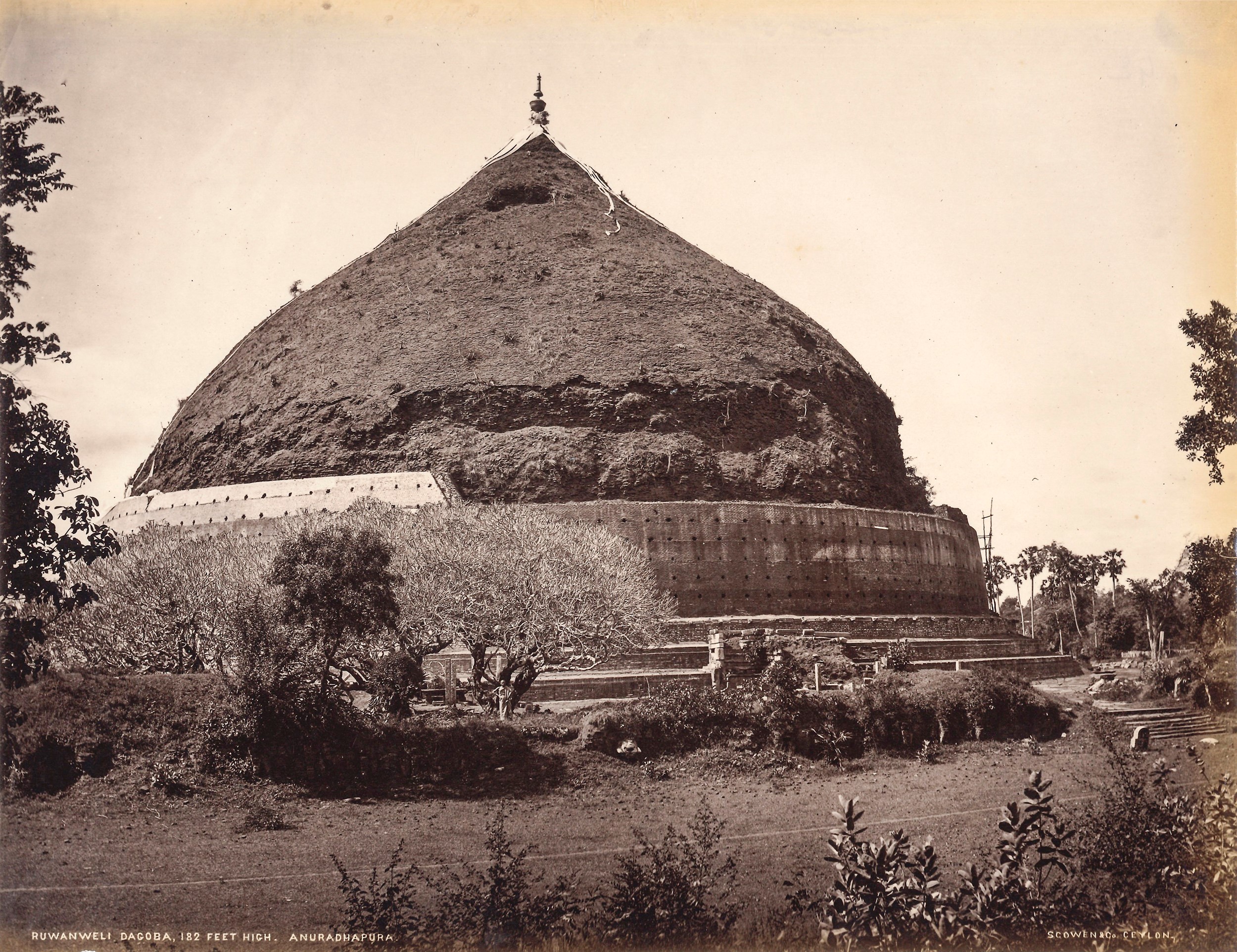 Charles Thomas Scowen - Anuradhapupa