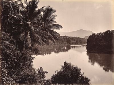 The Mahaweli Ganga And Hunasgiriya Peak; Kandy