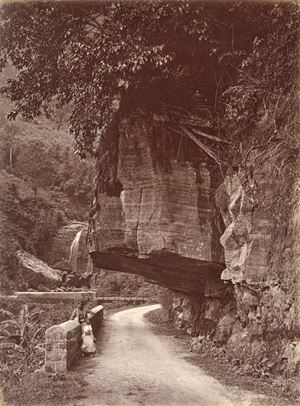 Untitled, Ceylon
