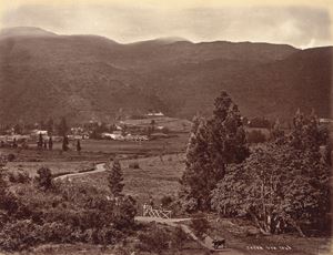 Senza titolo (Ceylon)
