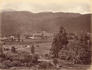 Untitled (Ceylon)