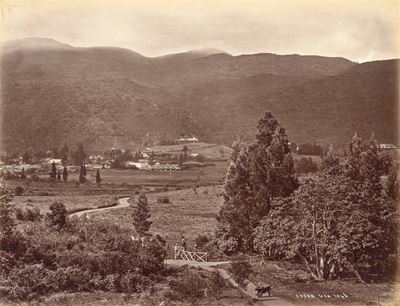 Senza Titolo (ceylon)
