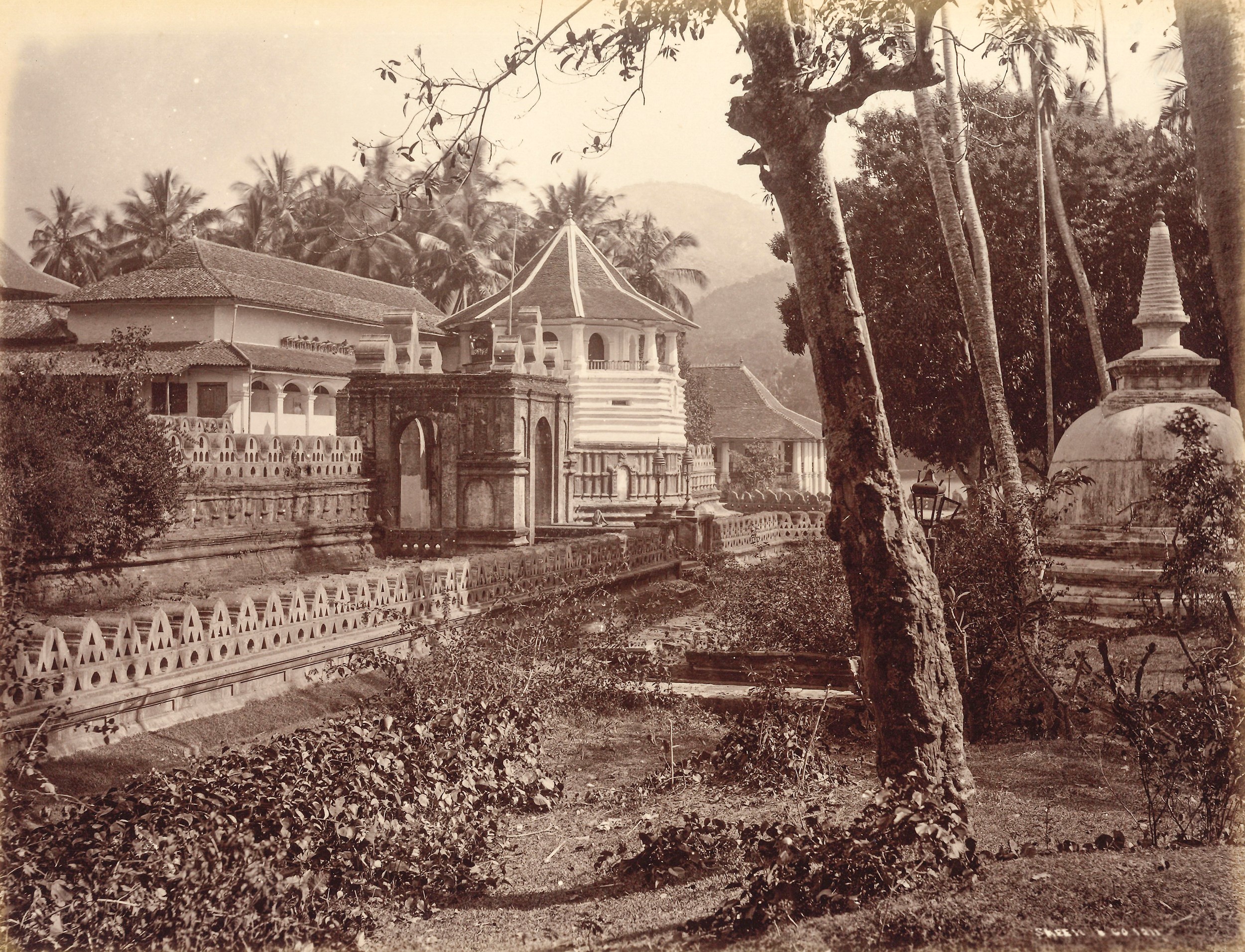 William Louis Henry Skeen & Co - Buddha Temple, Kandy, Ceylon