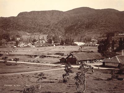 Senza Titolo, Ceylon