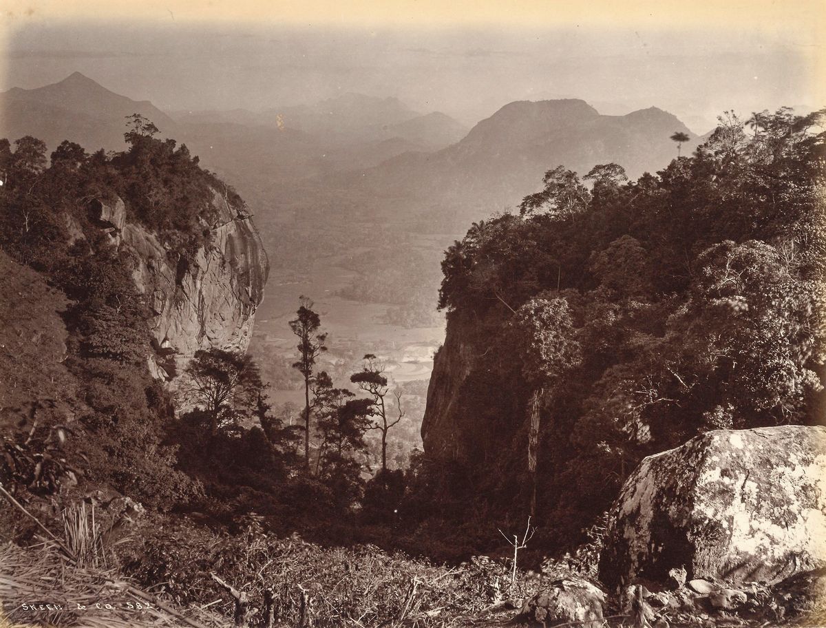 William Louis Henry Skeen & Co - Senza Titolo (ceylon)