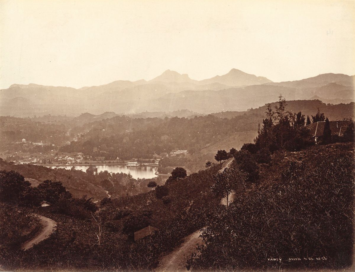 William Louis Henry Skeen & Co - Senza Titolo (ceylon)