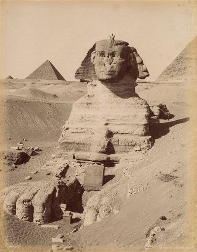 Sphynx