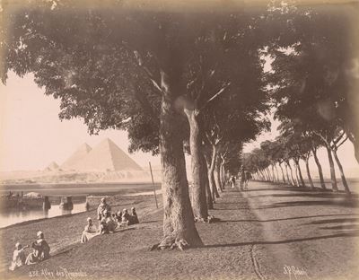 Allée des Pyramides, stampa all’albumina (anni 1870/1880)