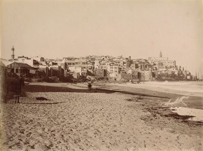 Jaffa, Vue d'ensemble