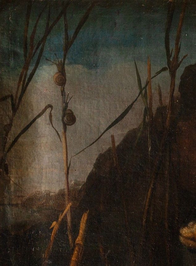 Scuola Napoletana, Secolo XVII - Cacciagione di Penna e Lepre in un Paesaggio
