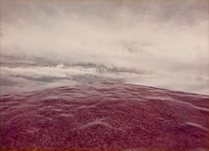 Untitled (Landscape)