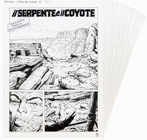 Saguaro - Il serpente e il coyote