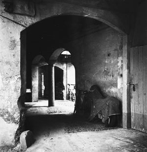 Carnisio Virgilio - Untitled (Milan)