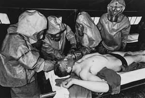 Germania Federale, Soldati francesi