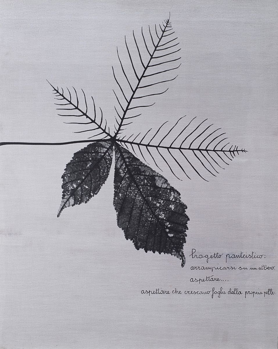 Vincenzo Agnetti - Progetto panteistico: riporto fotografico su tela
