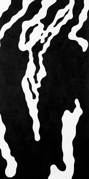 Odescalchi Cristallo - The riddle of the bark - The cormorant dimension