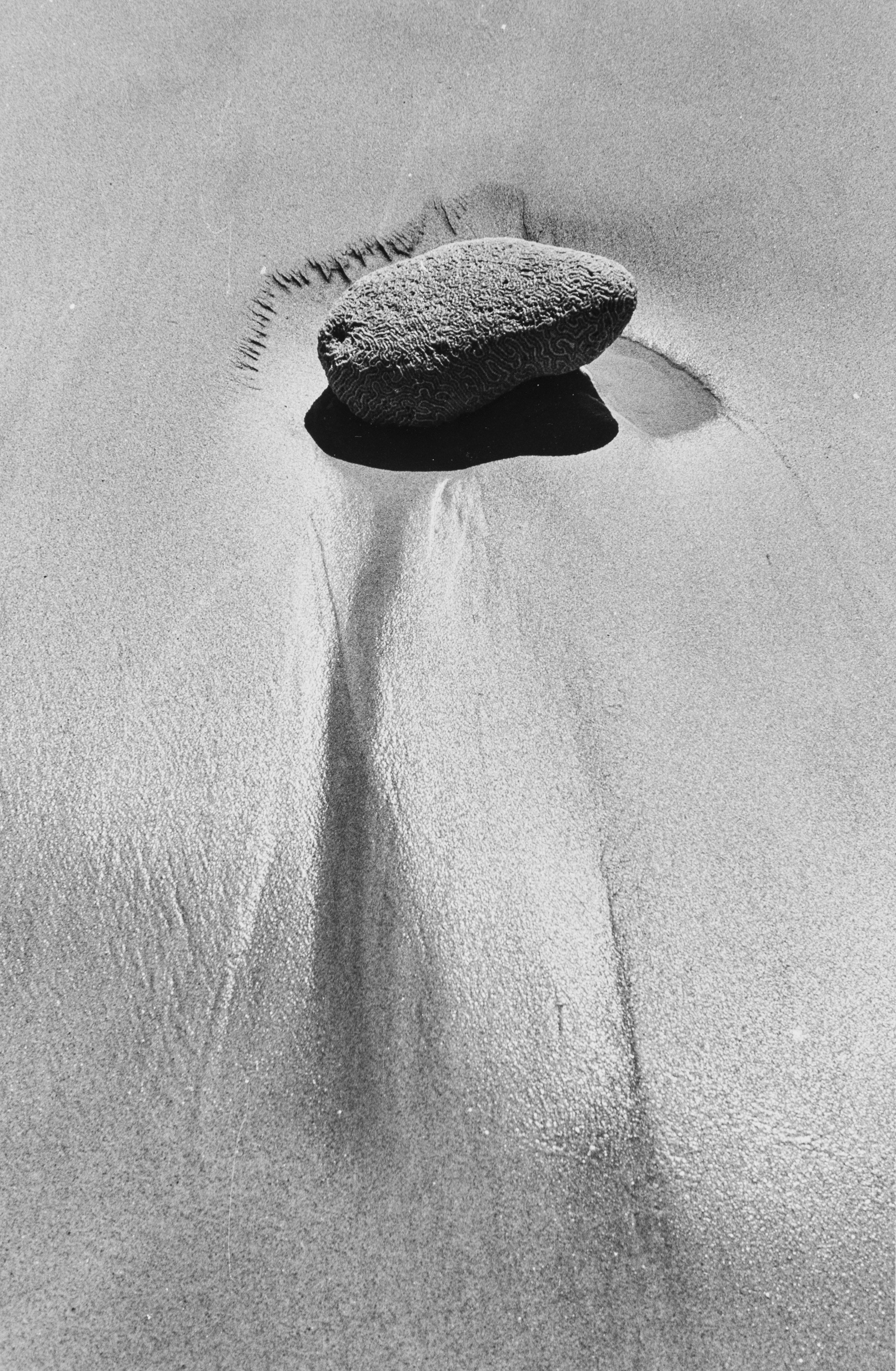 Senza titolo (Sabbie)